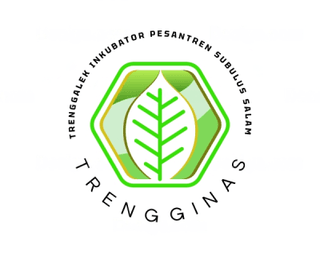 Logo TRENGGALEK INKUBATOR PESANTREN SUBULUS SALAM (TRENGGINAS)